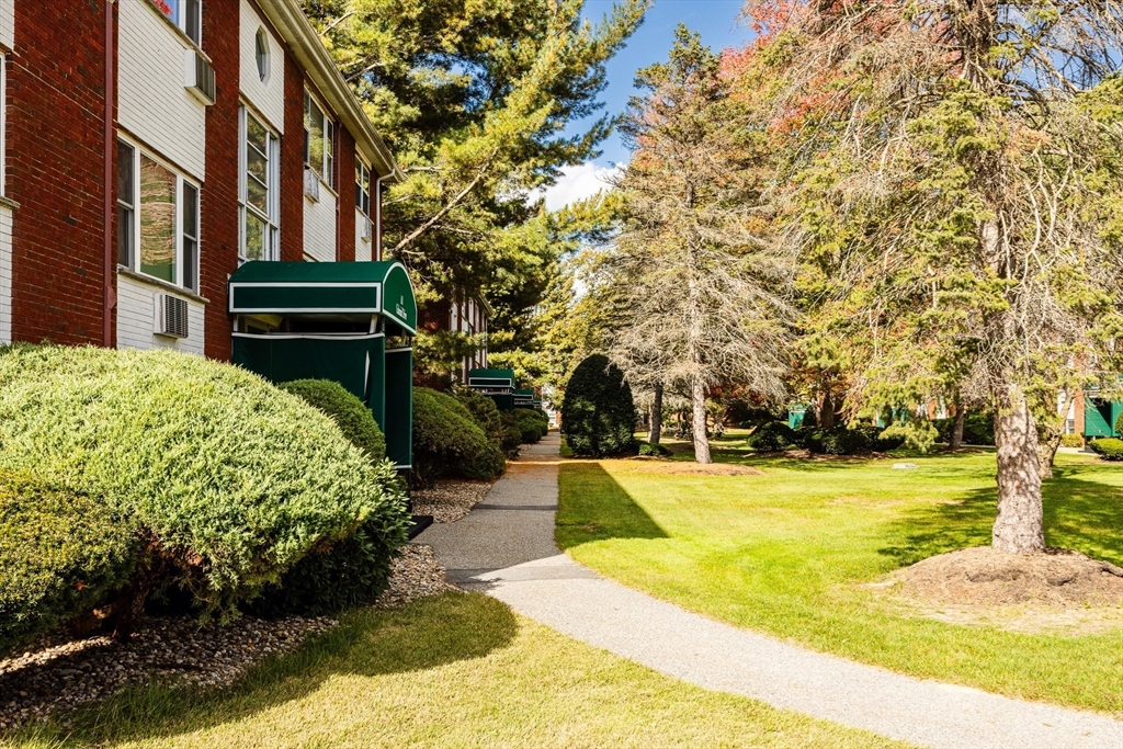 A1 Colonial Drive, Unit 10 Andover, MA 01810 - Photo 12 of 18 a view of a backyard with plants and large trees