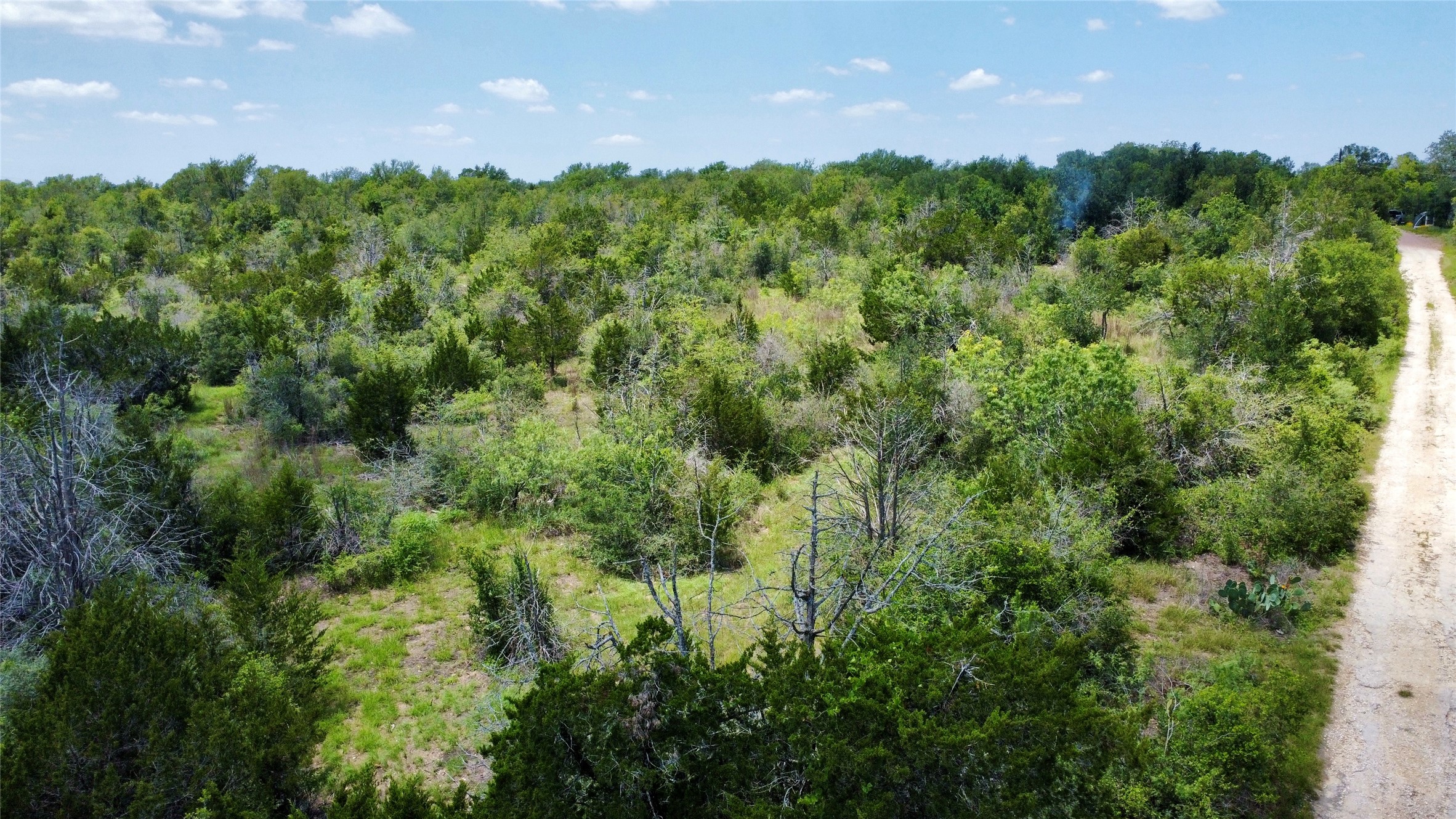 1998 Upper Elgin River Road Elgin, TX 78621 - Photo 27 of 28 a view of a green yard in a field