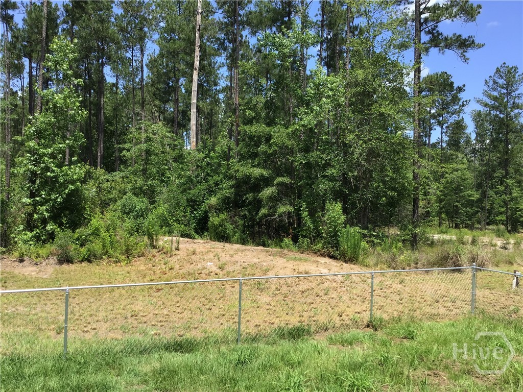 1035 Pate Rogers Road Fleming, GA 31309 - Photo 21 of 23