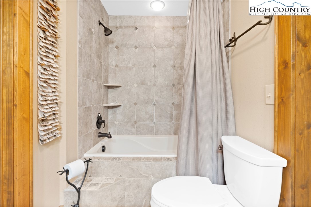 138 Springhouse Drive, Unit C2 Elk Park, NC 28622 - Photo 31 of 44 a bathroom with a toilet and a bathtub