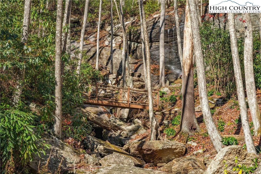 138 Springhouse Drive, Unit C2 Elk Park, NC 28622 - Photo 43 of 44