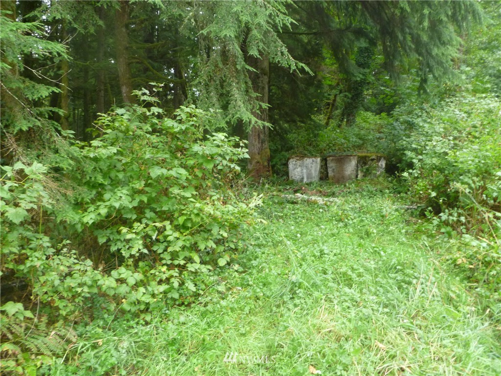 11408 Hand Road Monroe, WA 98272 - Photo 1 of 7 Gallery Image 1