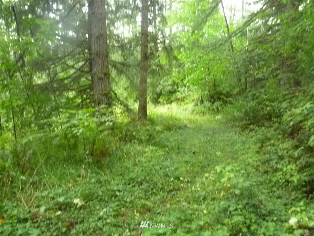 11408 Hand Road Monroe, WA 98272 - Photo 2 of 7 Gallery Image 2