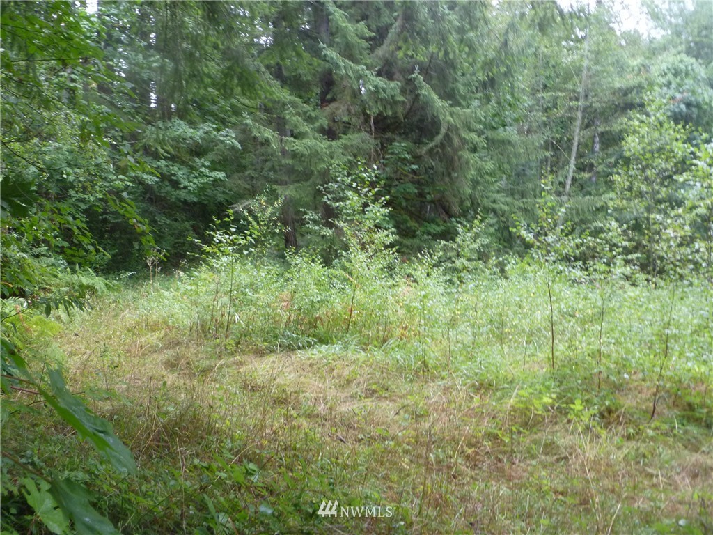 11408 Hand Road Monroe, WA 98272 - Photo 3 of 7 Gallery Image 3