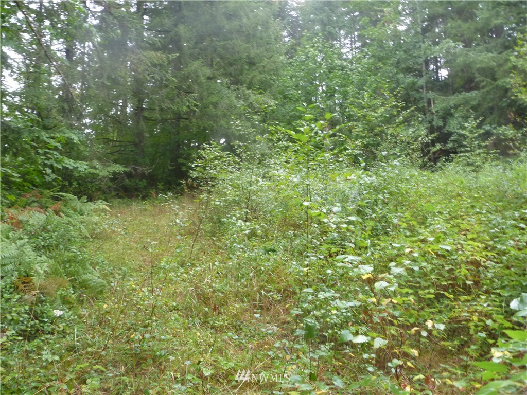 11408 Hand Road Monroe, WA 98272 - Photo 5 of 7 Gallery Image 5