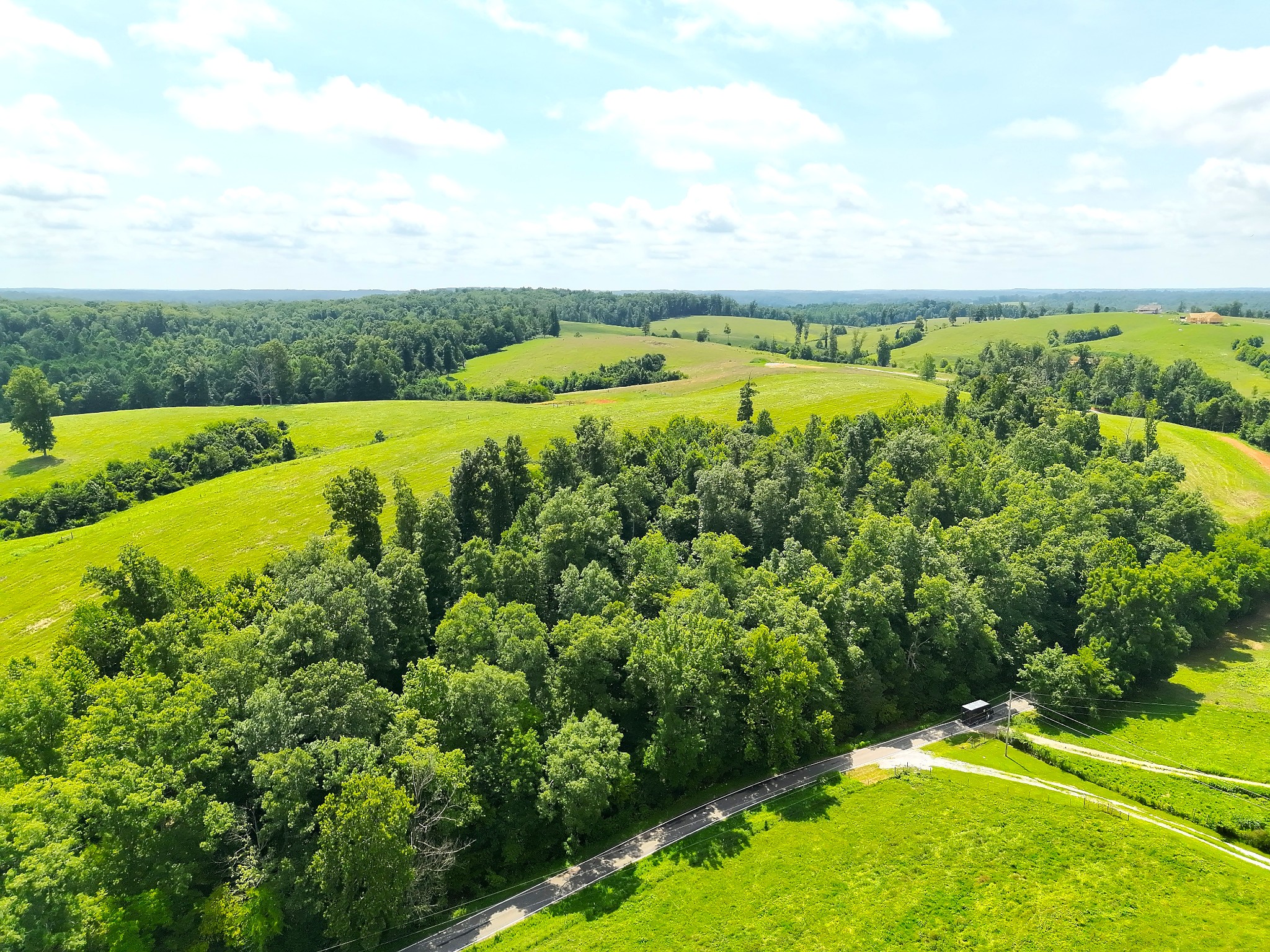 0 Brigham Branch Road Erin, TN 37061 - Photo 9 of 16 Gallery Image 9