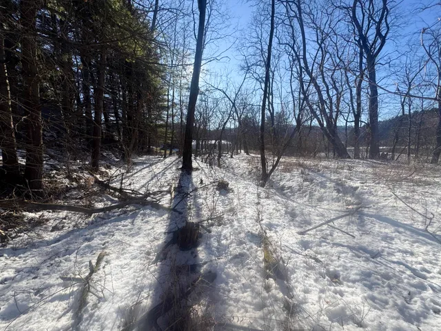 $150,000 | 0 Hwy 95 Arcadia Wi 54612, Arcadia, WI 54612