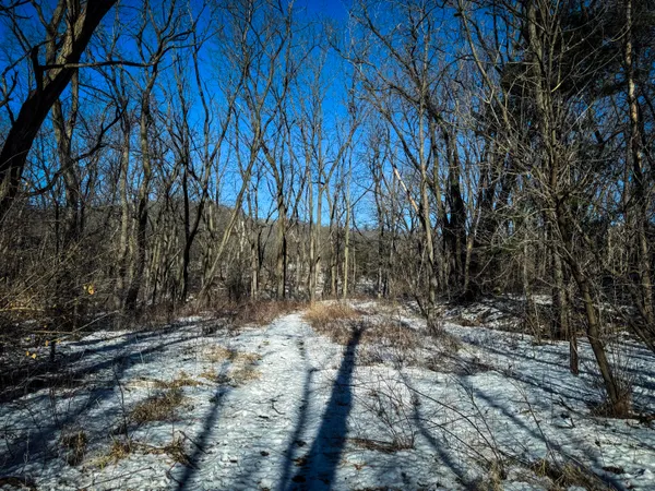 $150,000 | 0 Hwy 95 Arcadia Wi 54612, Arcadia, WI 54612