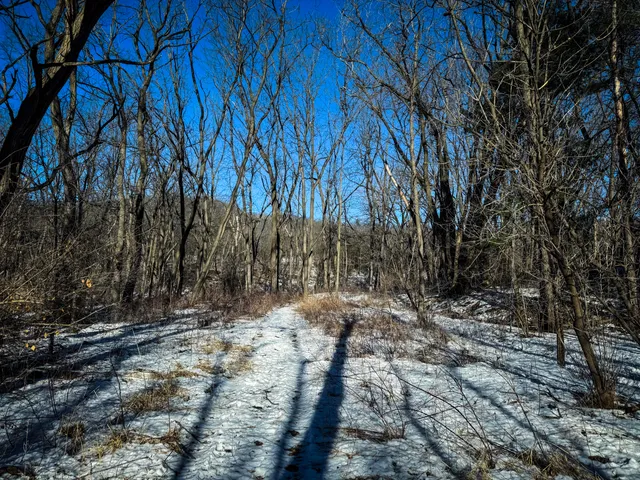 $150,000 | 0 Hwy 95 Arcadia Wi 54612, Arcadia, WI 54612