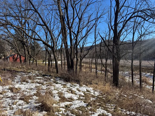 $150,000 | 0 Hwy 95 Arcadia Wi 54612, Arcadia, WI 54612