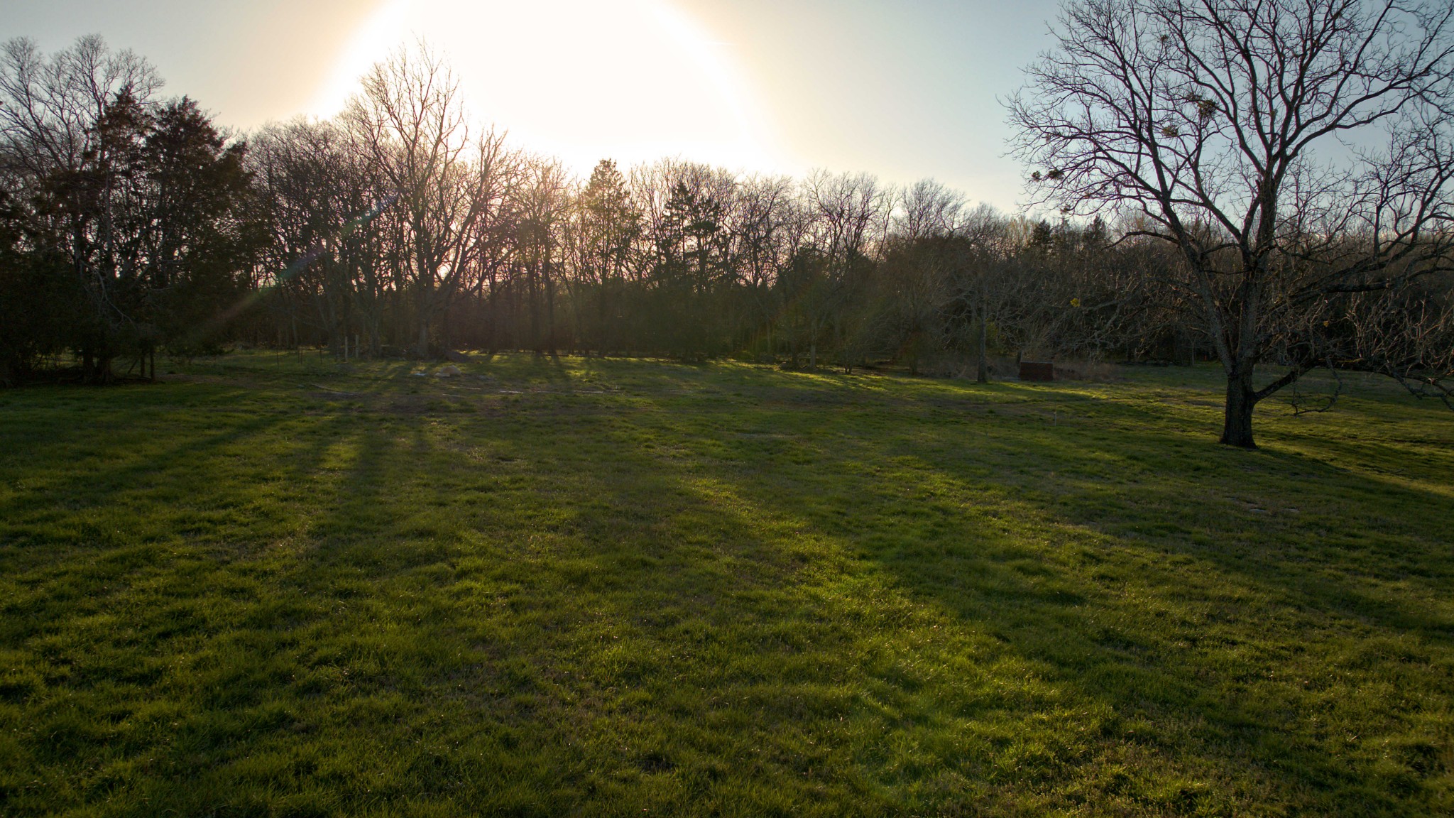 5 Cedar Bluff Road Hartsville, TN 37074 - Photo 8 of 9 a view of outdoor space and yard