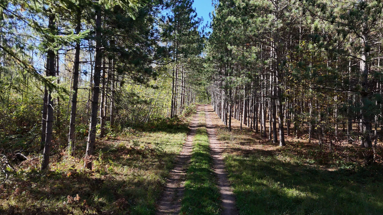 Xxx Mann Road Spooner, WI 54801 - Photo 11 of 14
