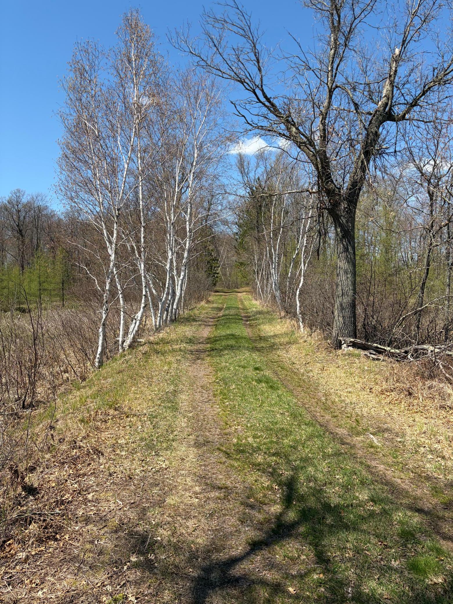 Xxx Mann Road Spooner, WI 54801 - Photo 15 of 36