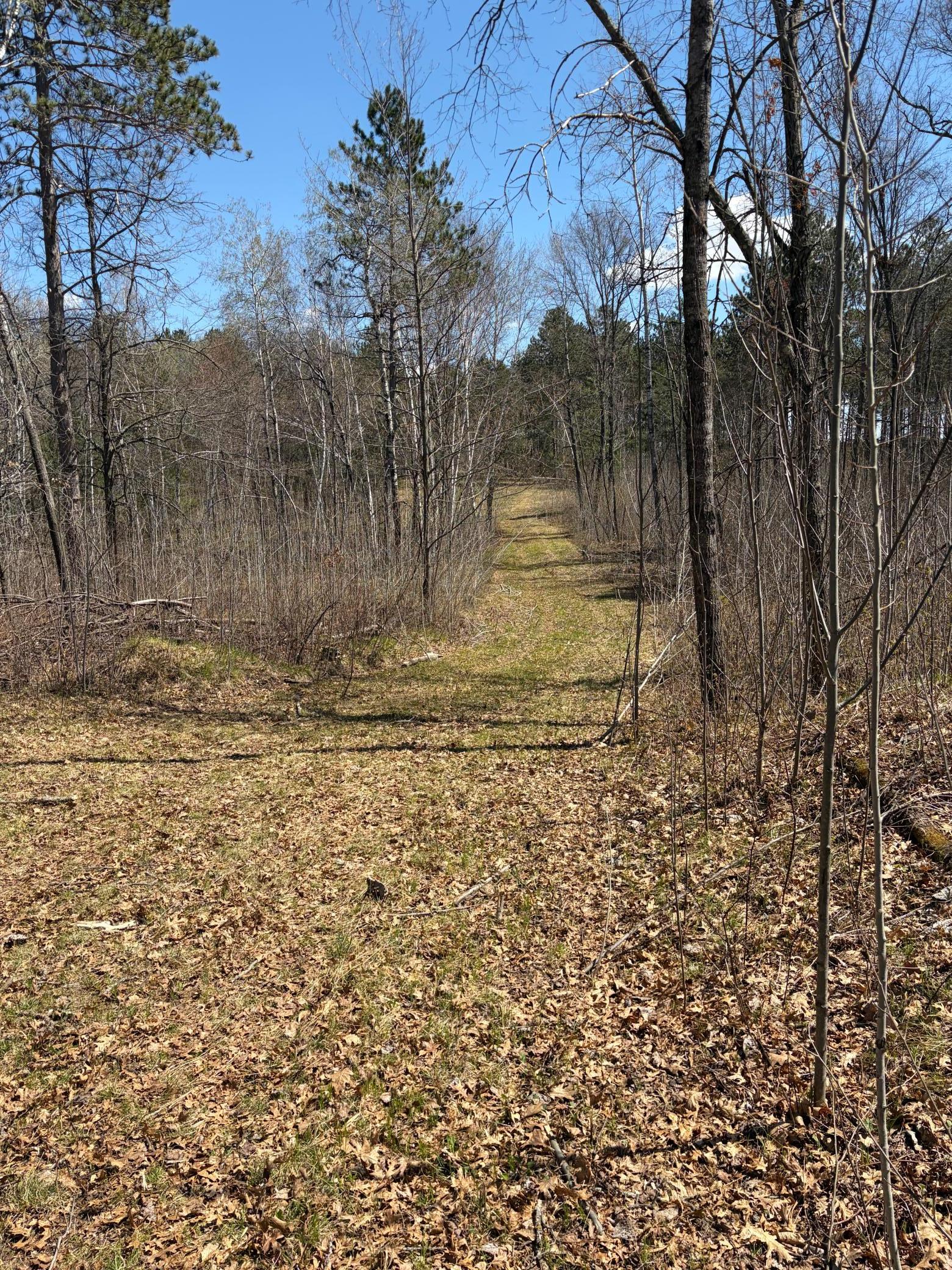 Xxx Mann Road Spooner, WI 54801 - Photo 21 of 36