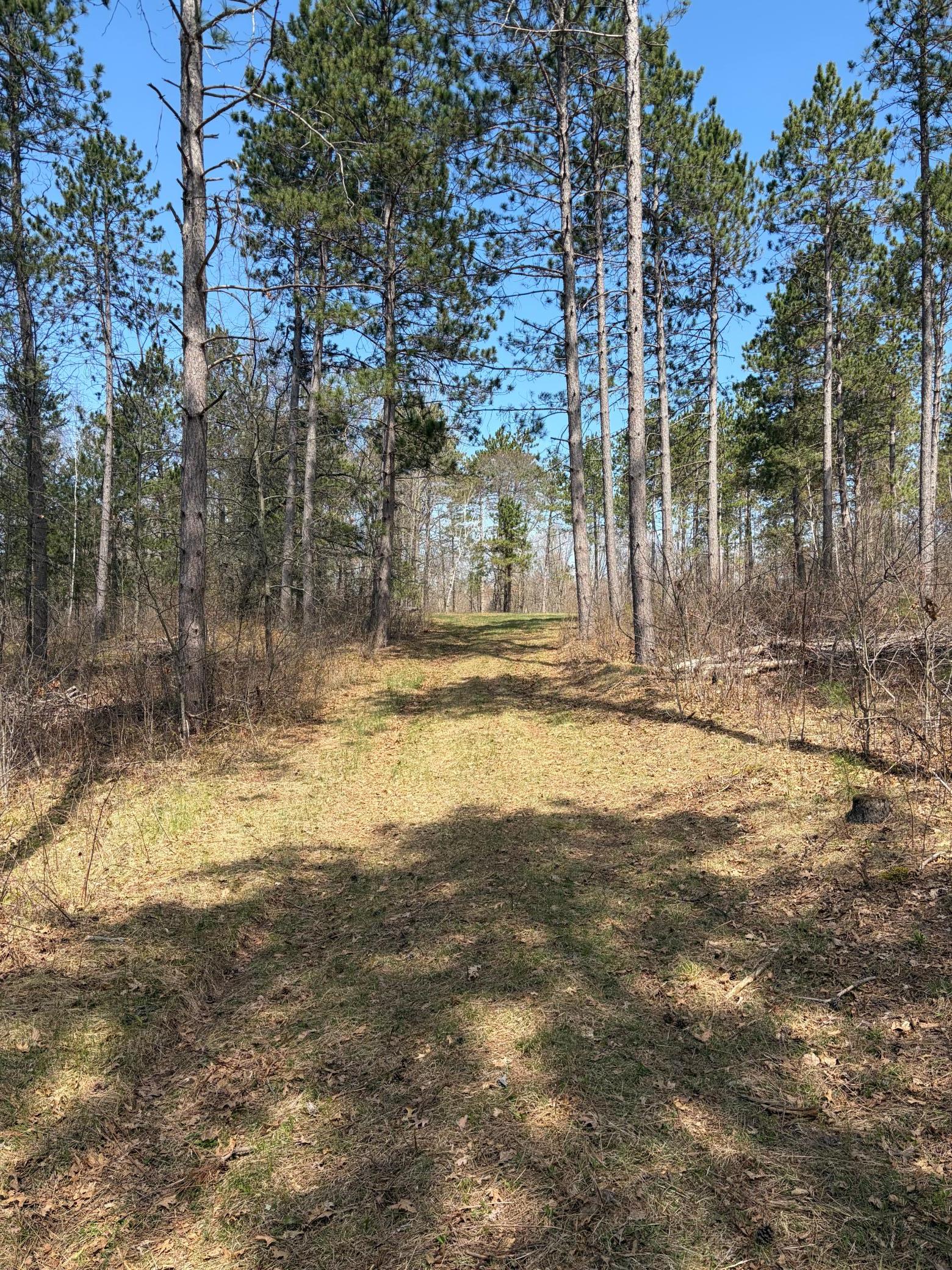 Xxx Mann Road Spooner, WI 54801 - Photo 26 of 36