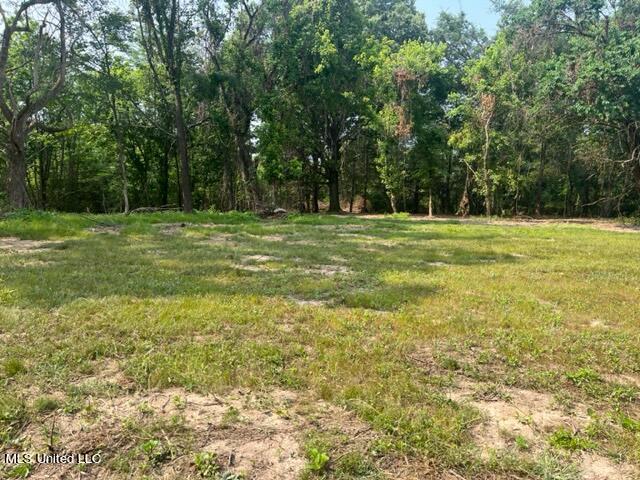 1 Bolin Road Hernando, MS 38632 - Photo 2 of 7 IMG_4401