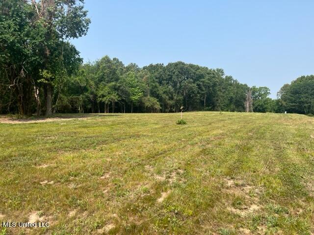 1 Bolin Road Hernando, MS 38632 - Photo 3 of 7 IMG_4402