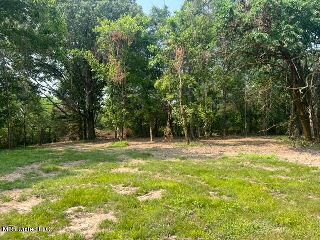 1 Bolin Road Hernando, MS 38632 - Photo 4 of 7 IMG_4403