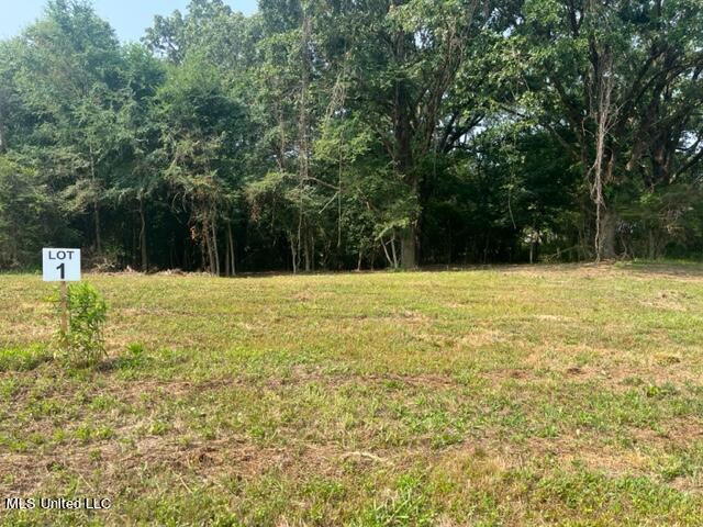 1 Bolin Road Hernando, MS 38632 - Photo 7 of 7 IMG_4406