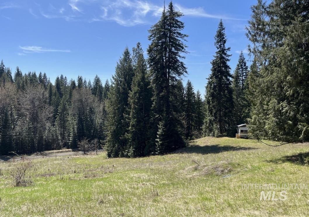 936 Red Fir Road Kooskia, ID 83539 - Photo 25 of 29