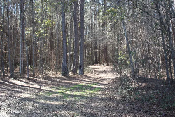 $719,000 | 2650 Joe Miley Road, Brunson, SC 29911