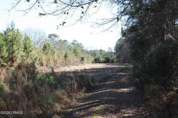 $719,000 | 2650 Joe Miley Road, Brunson, SC 29911