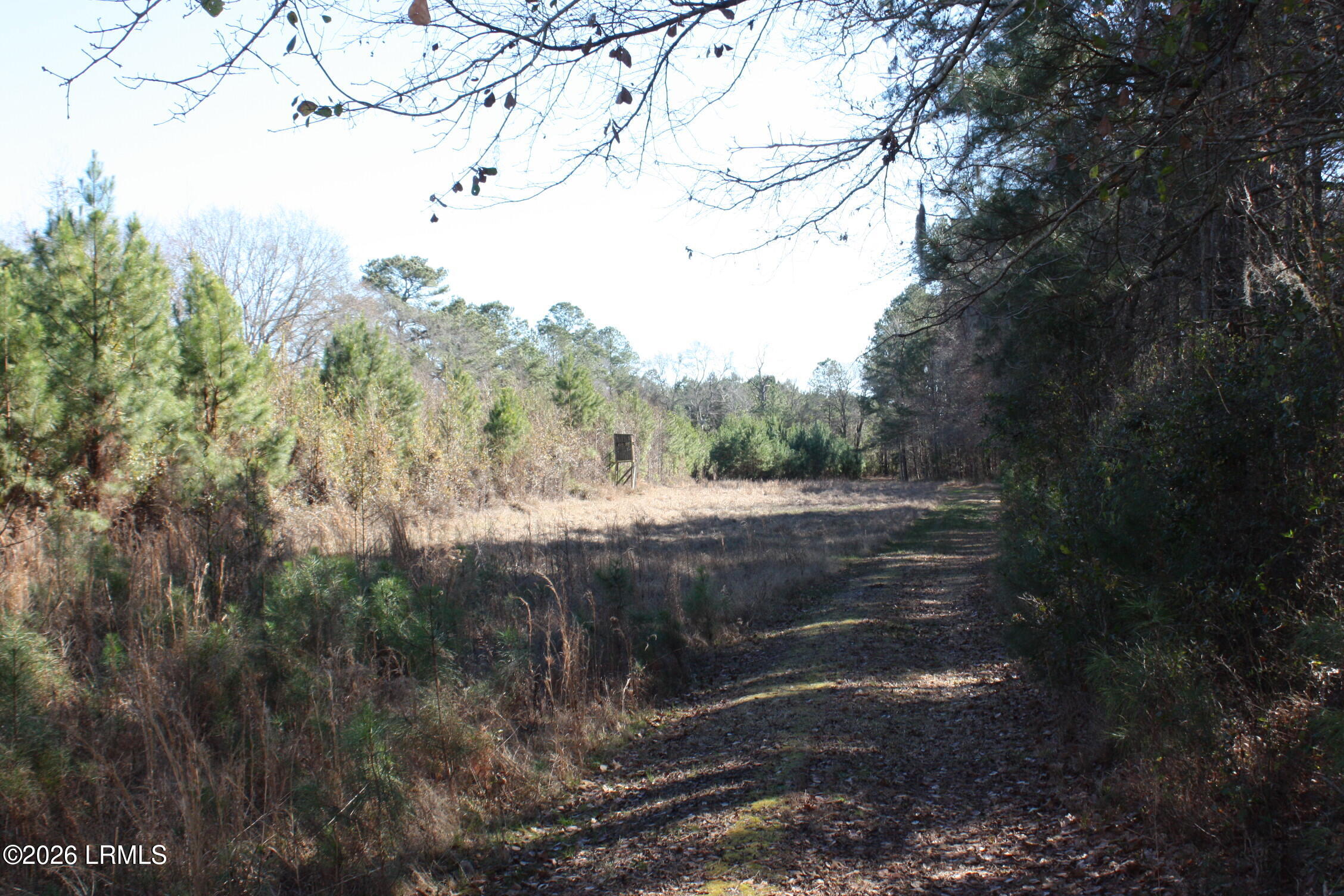 2650 Joe Miley Road Brunson, SC 29911 - Photo 12 of 13 IMG_9010