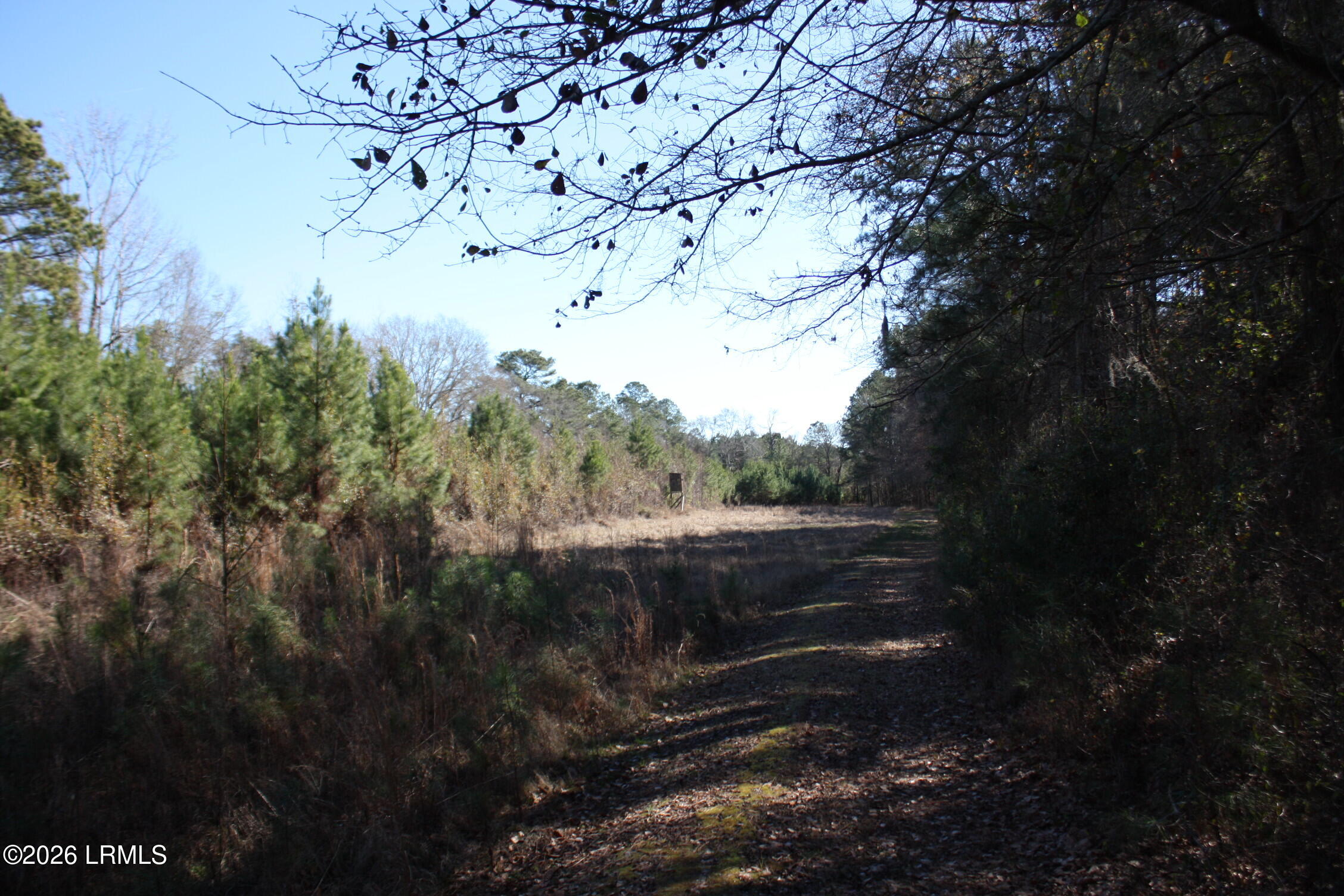2650 Joe Miley Road Brunson, SC 29911 - Photo 13 of 13 IMG_9011