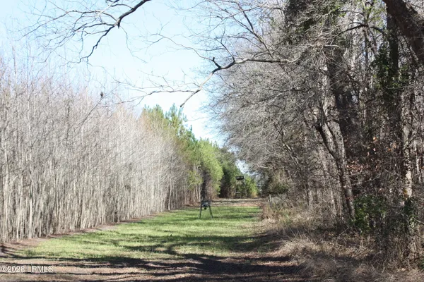 $719,000 | 2650 Joe Miley Road, Brunson, SC 29911