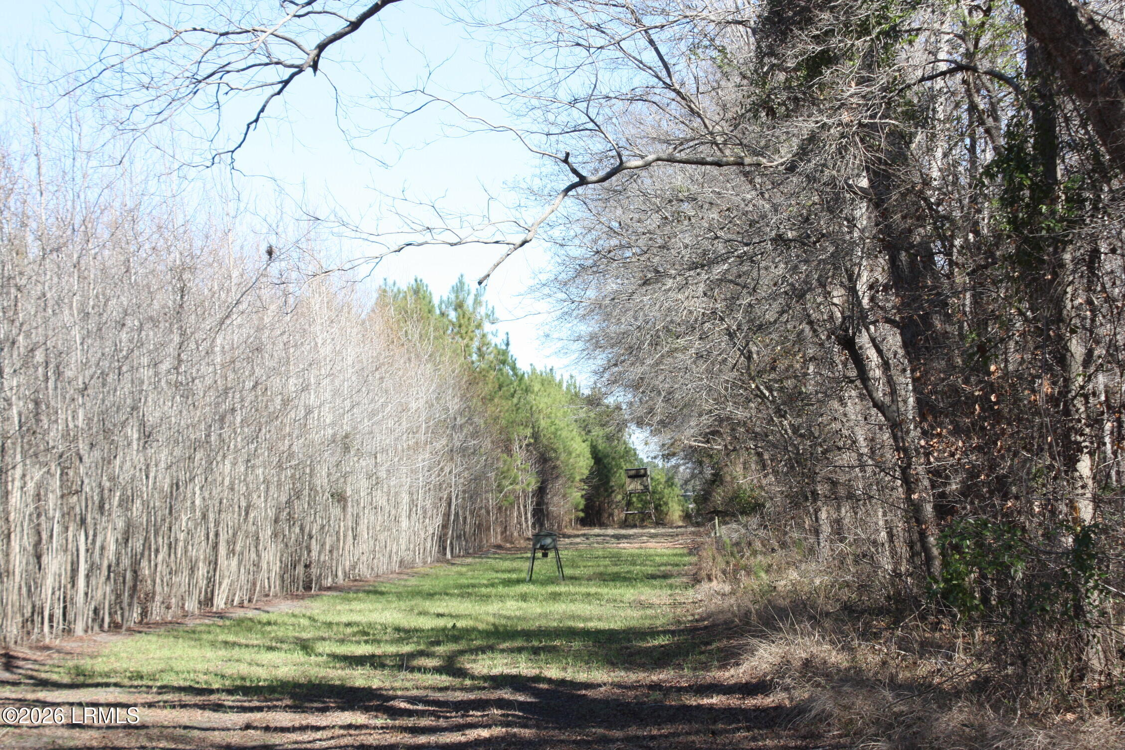 2650 Joe Miley Road Brunson, SC 29911 - Photo 2 of 13 IMG_9024
