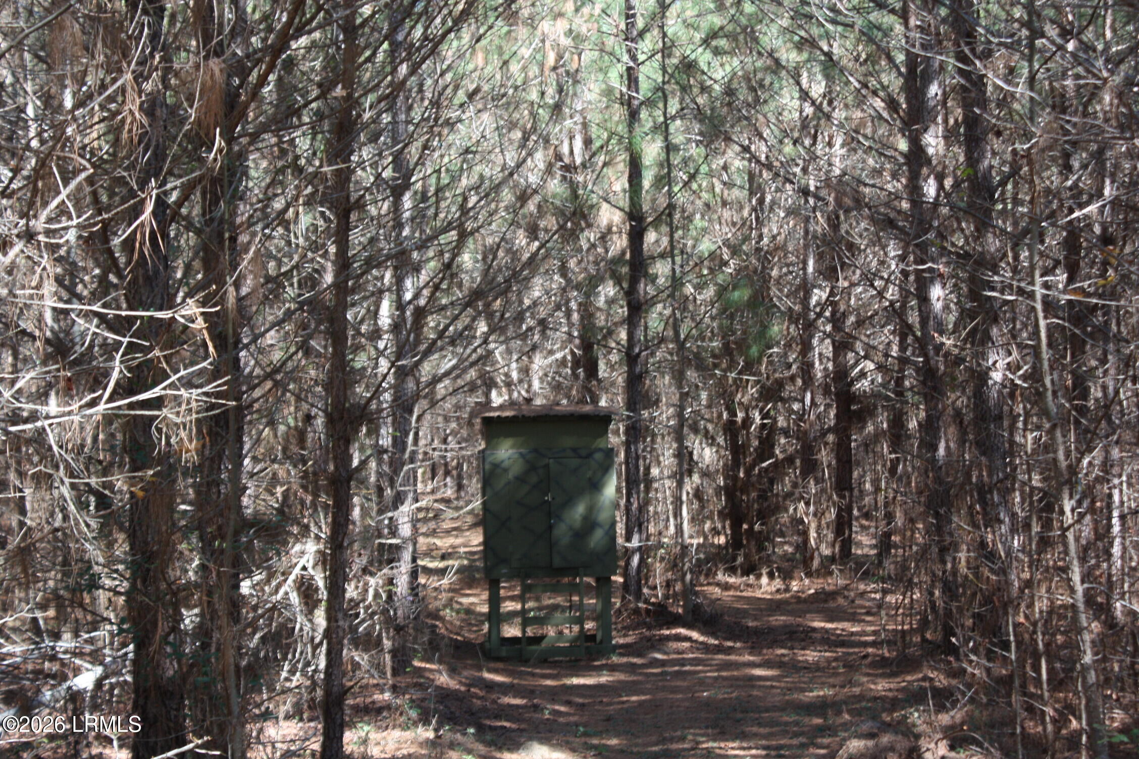 2650 Joe Miley Road Brunson, SC 29911 - Photo 3 of 13 IMG_9026