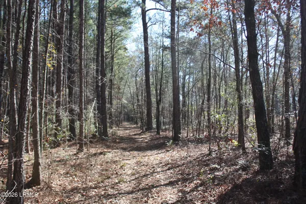 $719,000 | 2650 Joe Miley Road, Brunson, SC 29911
