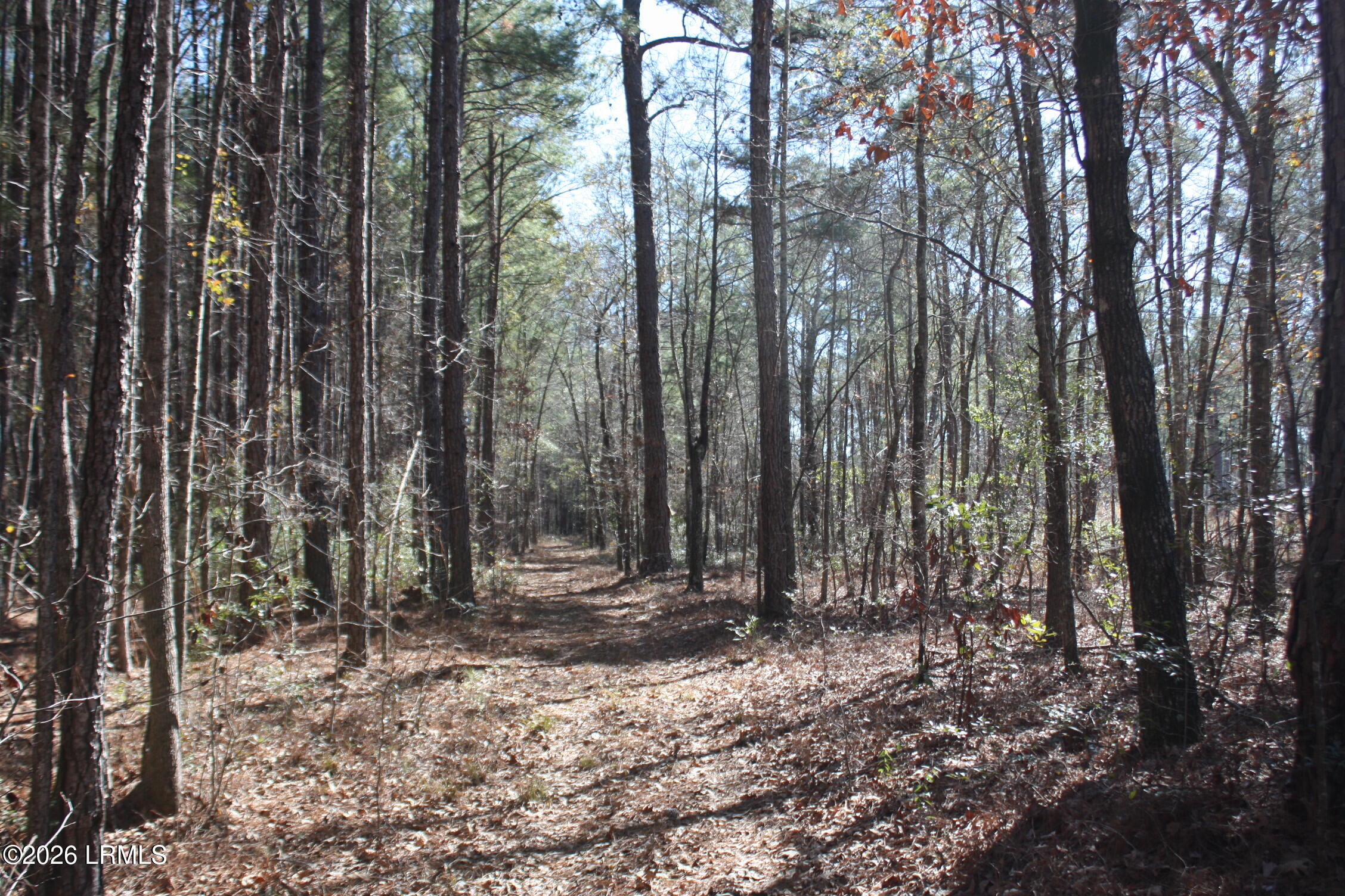 2650 Joe Miley Road Brunson, SC 29911 - Photo 5 of 13 IMG_9020
