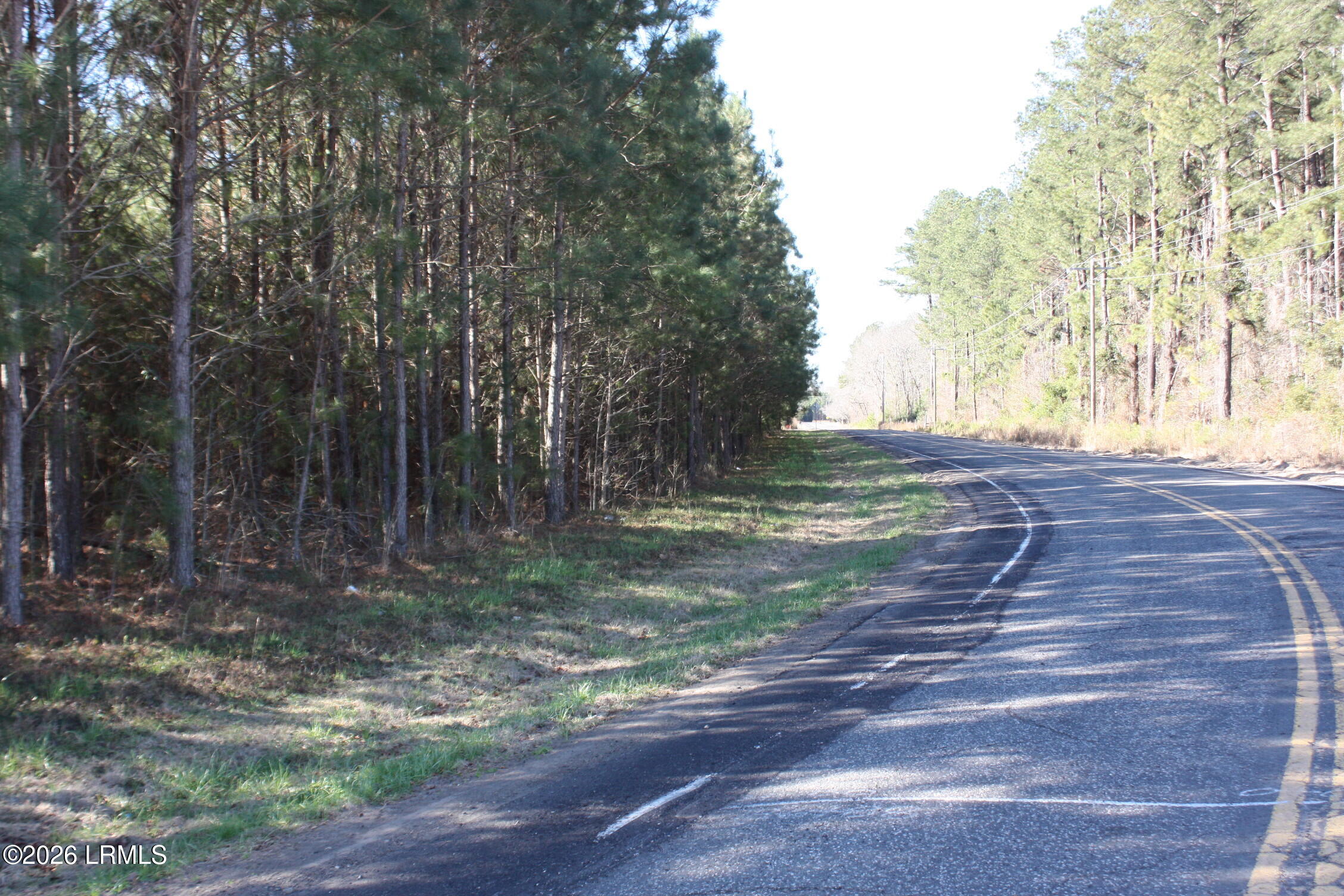 2650 Joe Miley Road Brunson, SC 29911 - Photo 7 of 13 IMG_8998