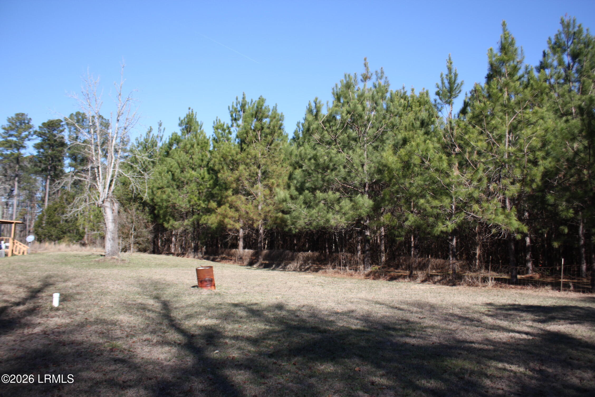 2650 Joe Miley Road Brunson, SC 29911 - Photo 9 of 13 IMG_9006