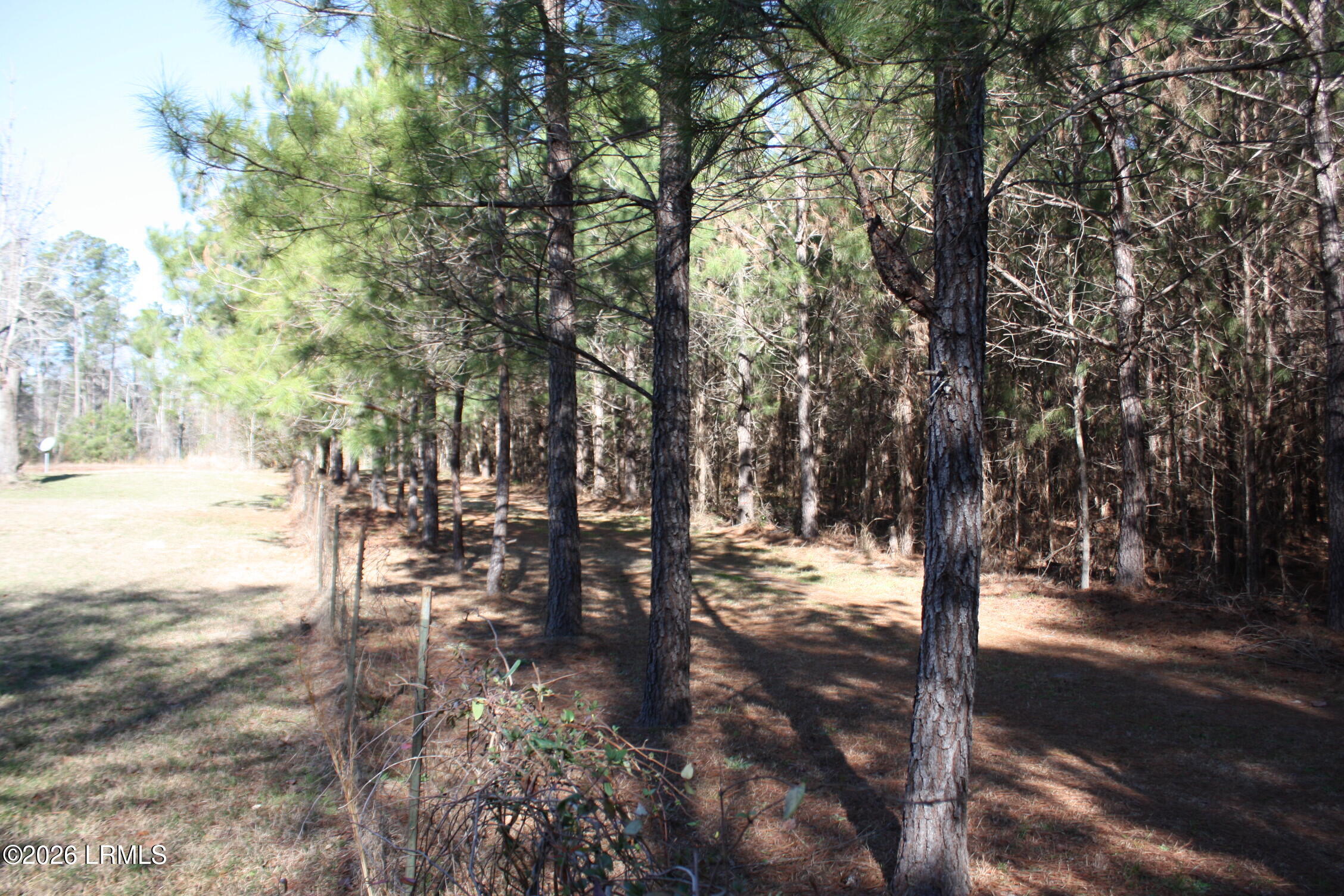 2650 Joe Miley Road Brunson, SC 29911 - Photo 10 of 13 IMG_9008