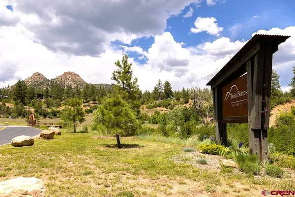 a view of a garden with a bench