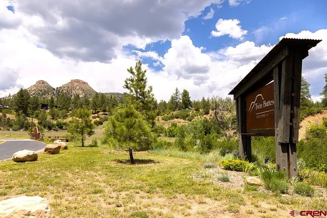 a view of a garden with a bench