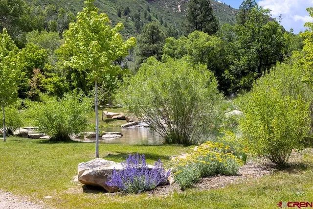 a view of a swimming pool with a yard