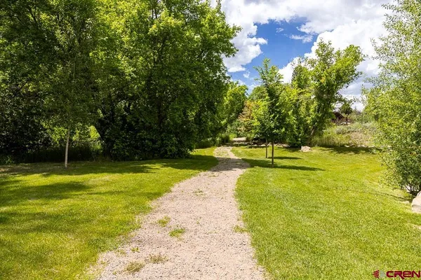 a view of swimming pool and trees