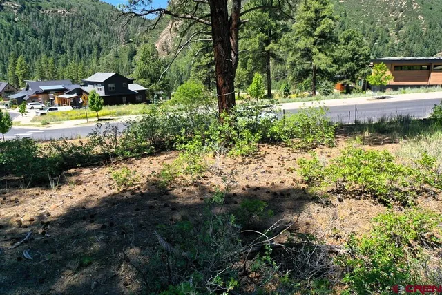 a view of backyard with green space