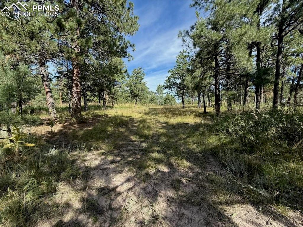 17435 East Goshawk Road Colorado Springs, CO 80908 - Photo 1 of 1 a big yard with lots of green space and bushes