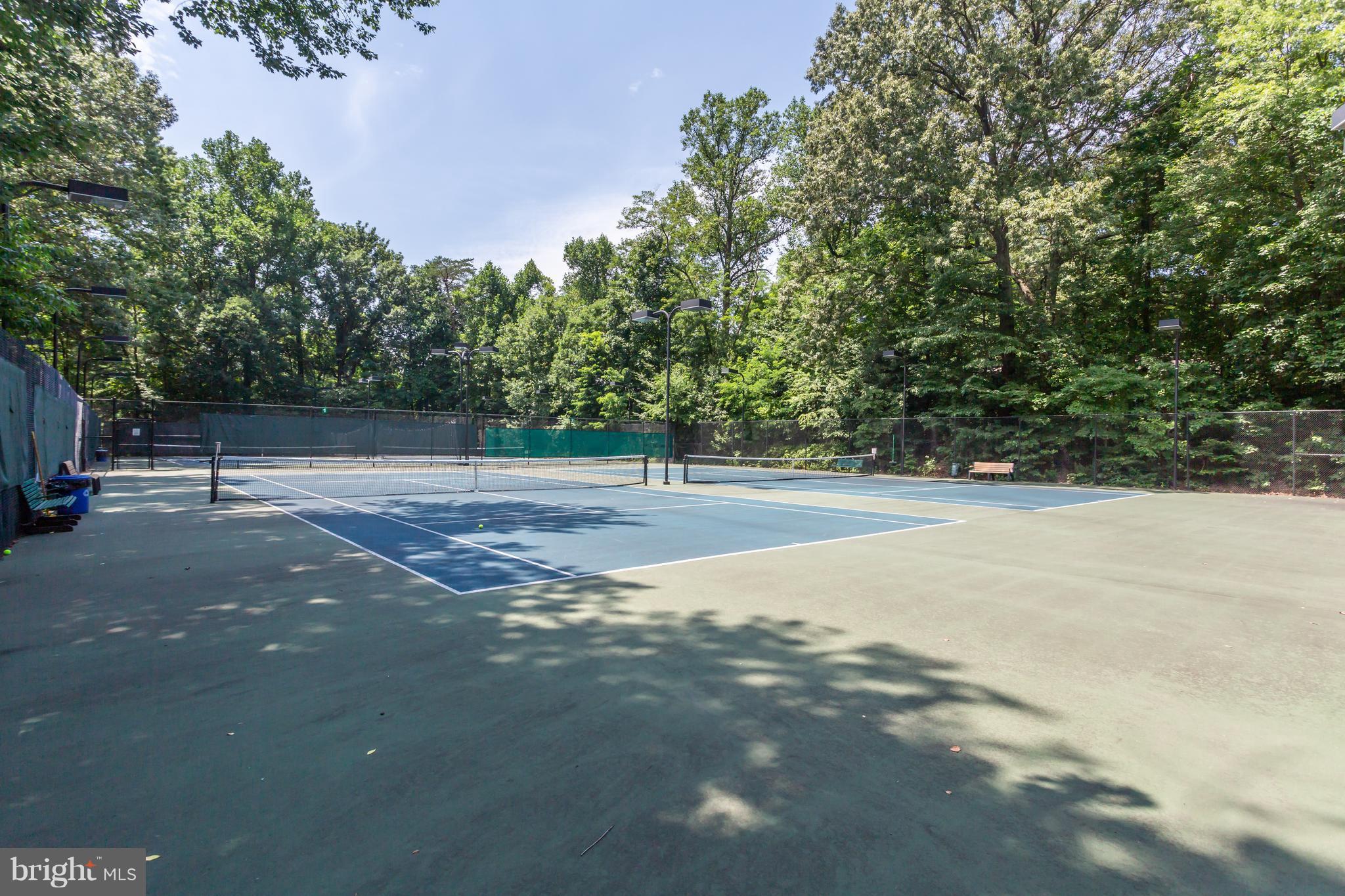 2224 Springwood Drive, Unit 102B Reston, VA 20191 - Photo 23 of 23 Community