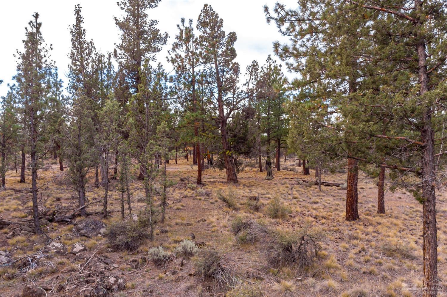 0 Peterson Ridge Road Bend, OR 97703 - Photo 14 of 17 Additional Photo