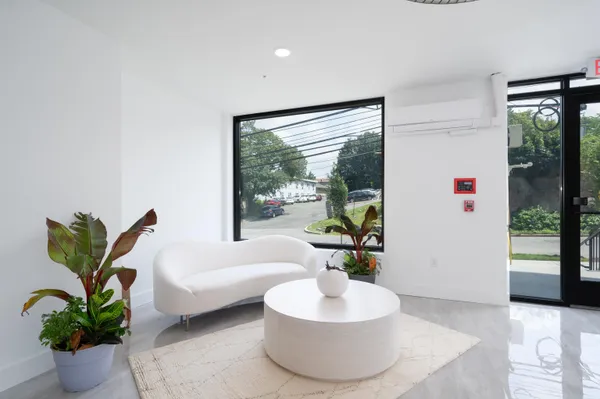 a living room with furniture and a potted plant