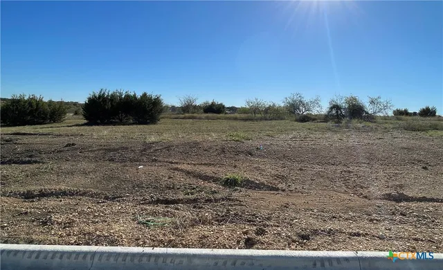 a view of a field with trees in background