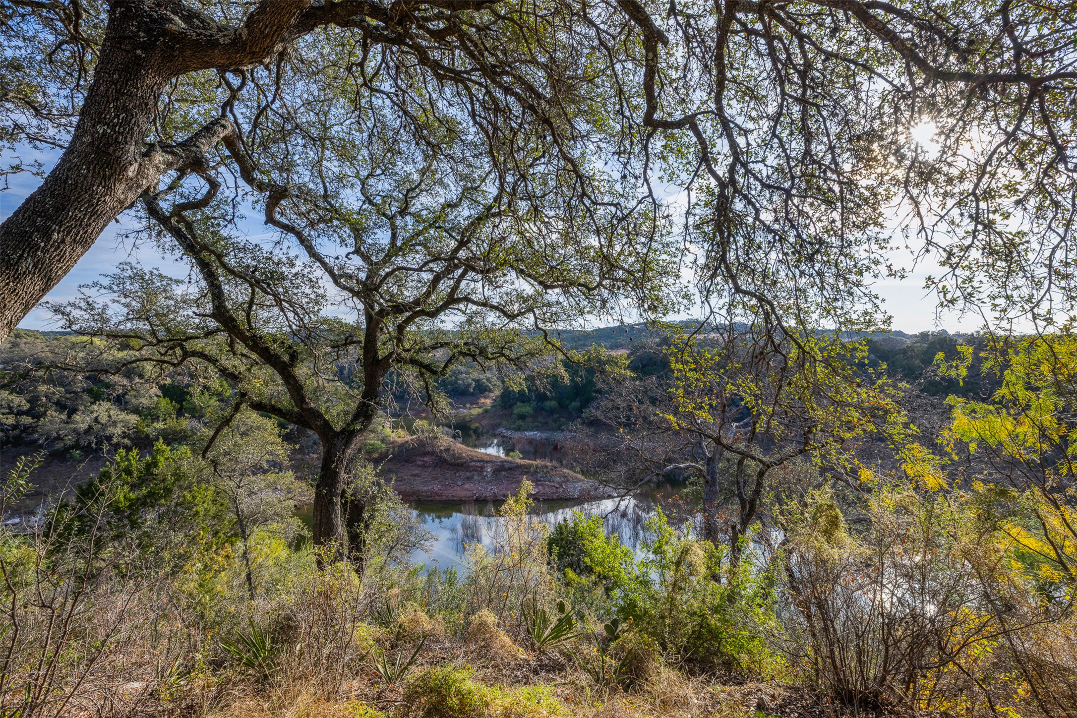 27701 Turner Ranch Road Marble Falls, TX 78654 - Photo 22 of 40 a view of a yard with plants and trees