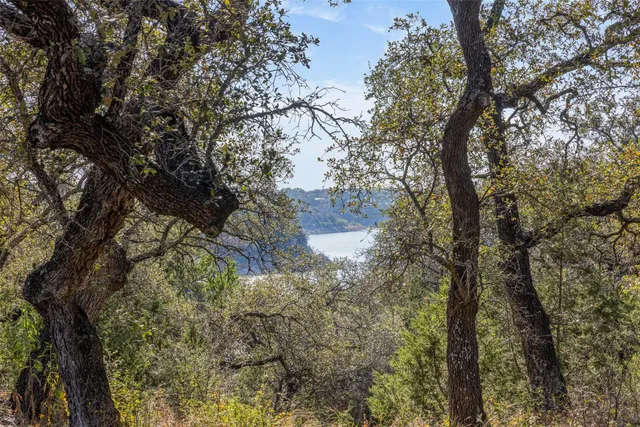 a view of mountain view with lots of trees