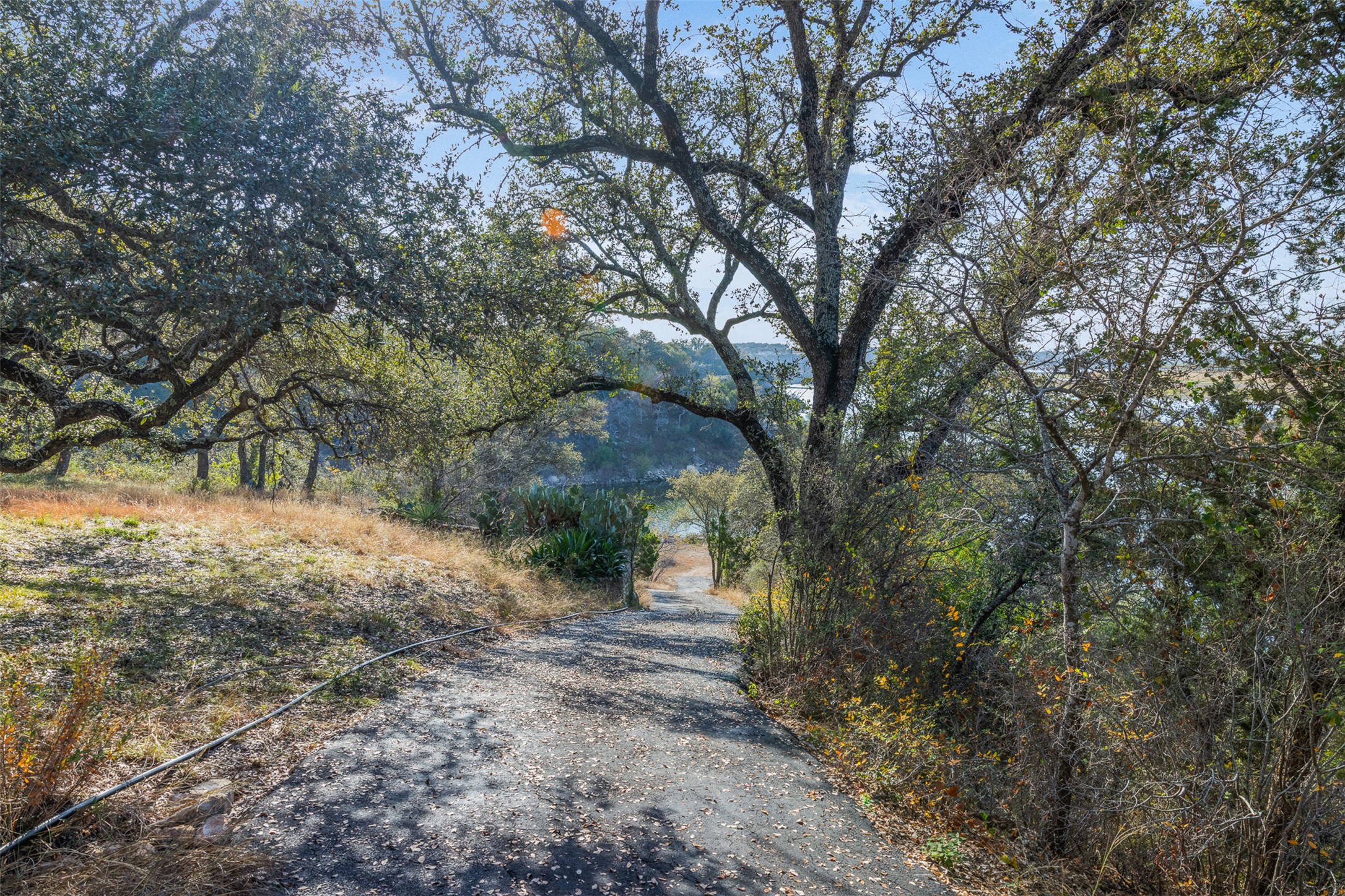 27701 Turner Ranch Road Marble Falls, TX 78654 - Photo 25 of 40 a view of dirt yard with a tree