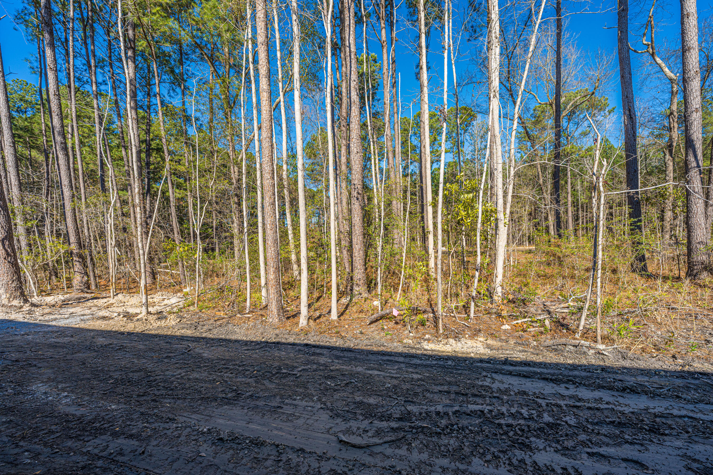 260 Washington Town Road Summerville, SC 29486 - Photo 53 of 86 260WashingtonRd041